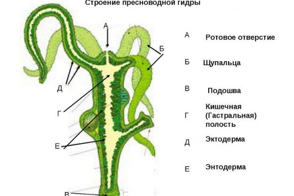 Кракен даркнет ссылка зеркало